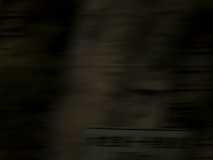 Ng Hon Lam Photography