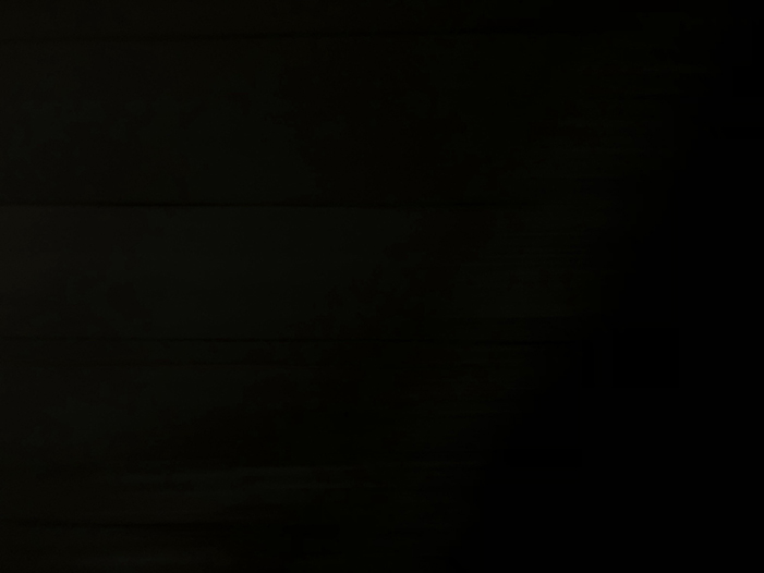 Ng Hon Lam Photography