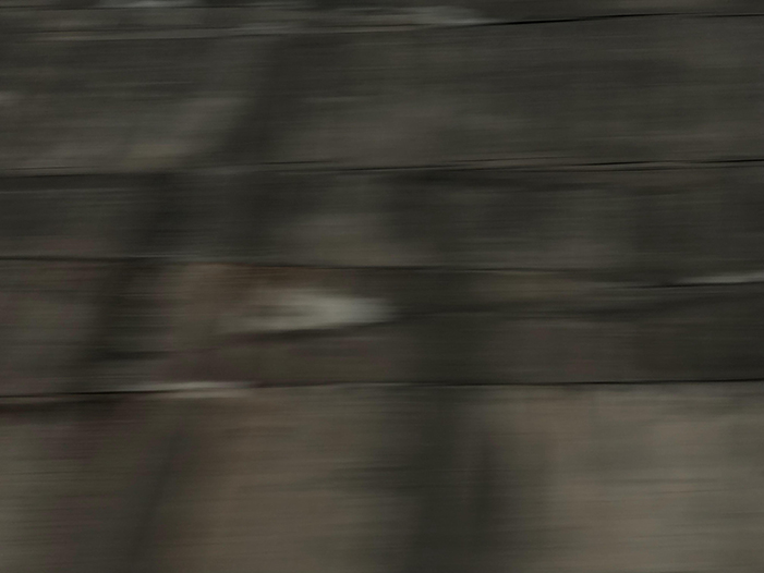 Ng Hon Lam Photography