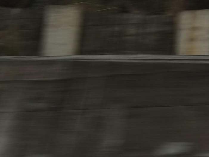 Ng Hon Lam Photography