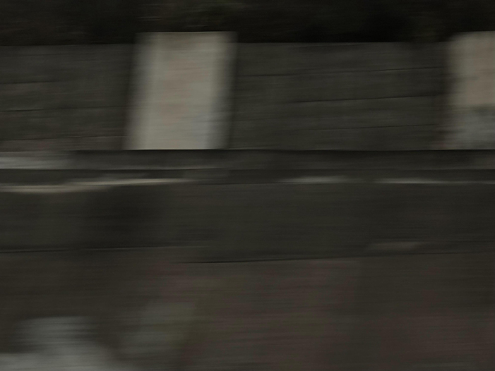 Ng Hon Lam Photography