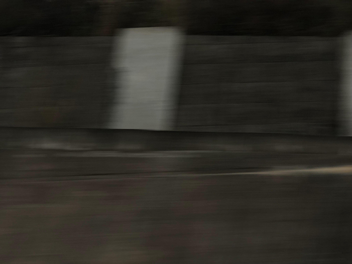 Ng Hon Lam Photography