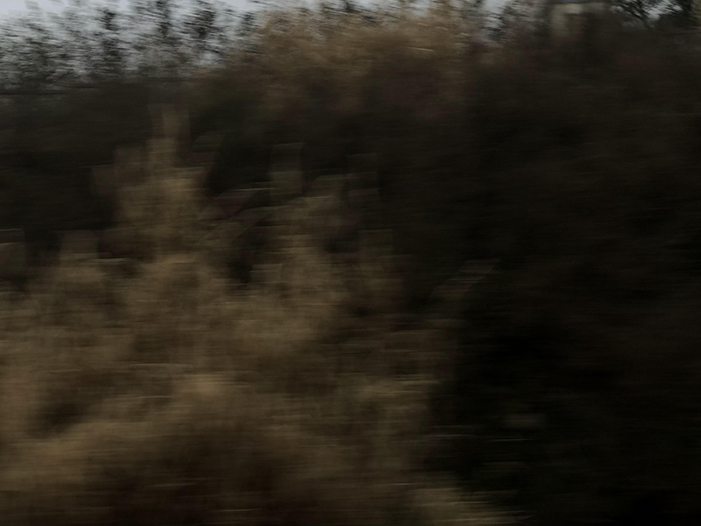 Ng Hon Lam Photography