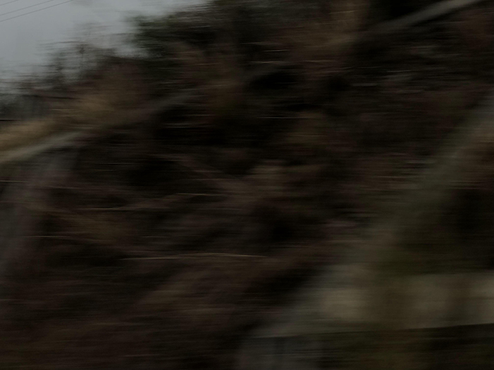 Ng Hon Lam Photography