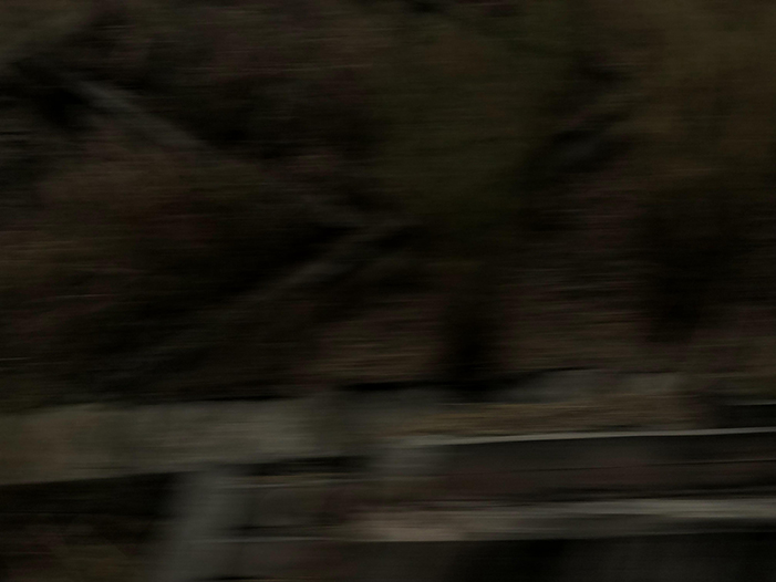 Ng Hon Lam Photography