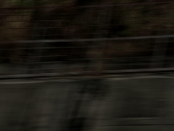 Ng Hon Lam Photography