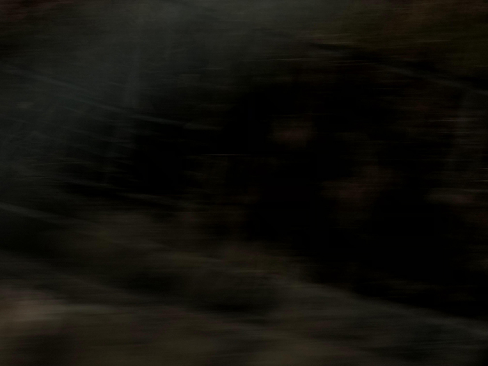 Ng Hon Lam Photography