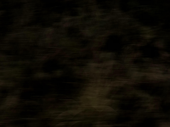 Ng Hon Lam Photography