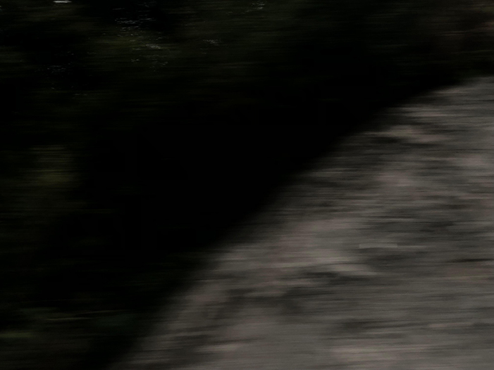 Ng Hon Lam Photography