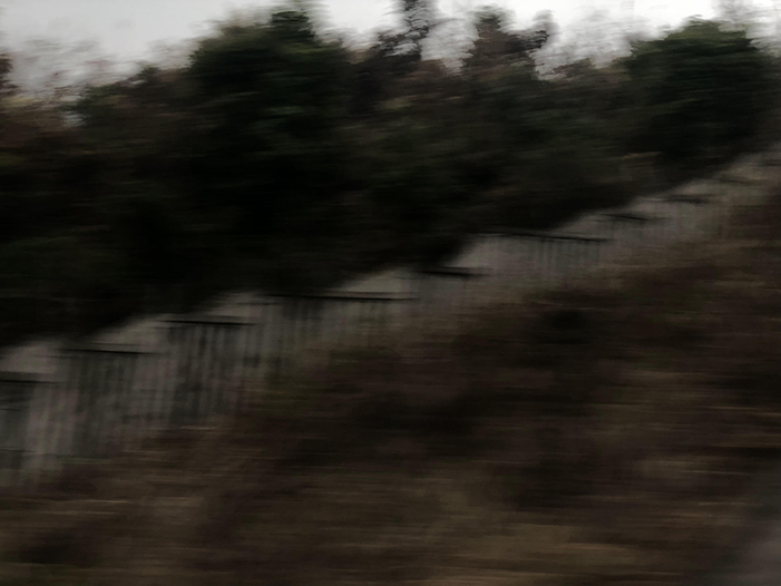 Ng Hon Lam Photography