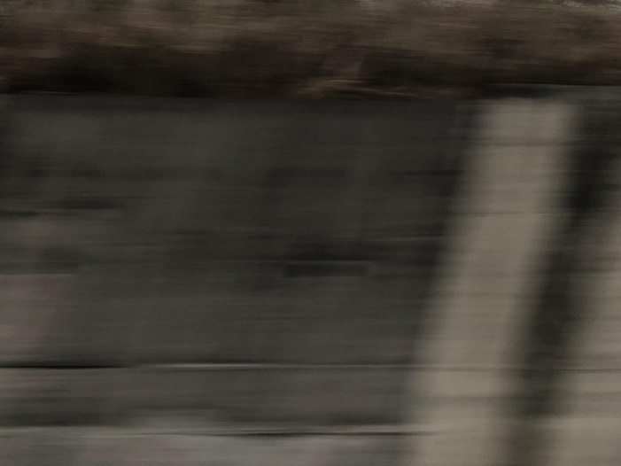 Ng Hon Lam Photography