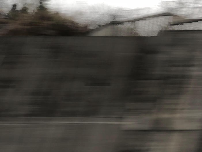 Ng Hon Lam Photography