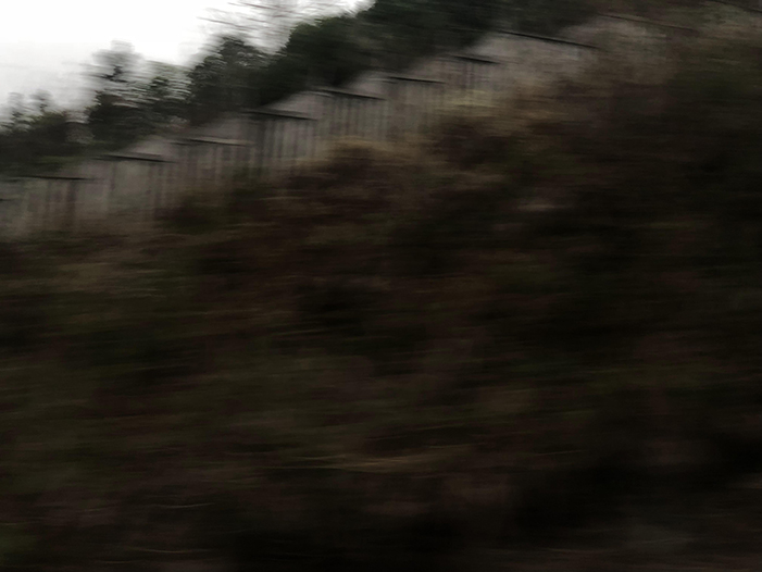 Ng Hon Lam Photography