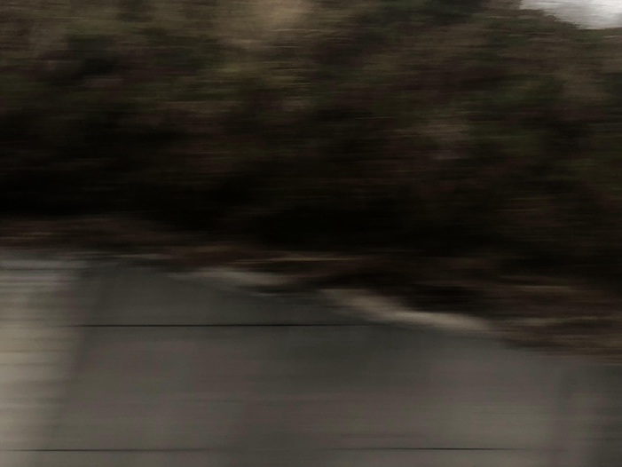 Ng Hon Lam Photography