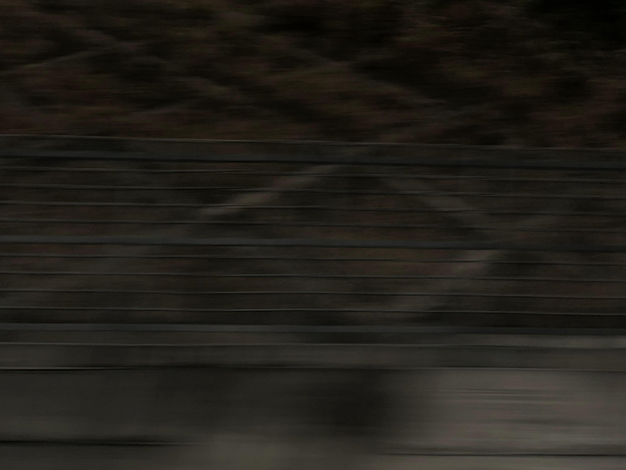 Ng Hon Lam Photography