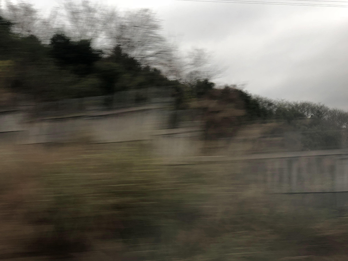 Ng Hon Lam Photography