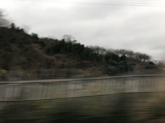 Ng Hon Lam Photography