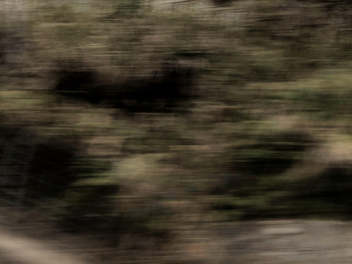 Ng Hon Lam Photography