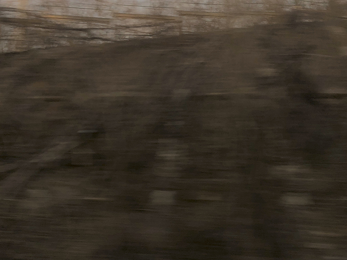 Ng Hon Lam Photography