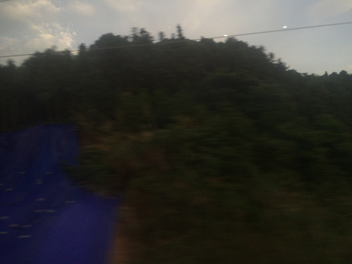 Ng Hon Lam Photography