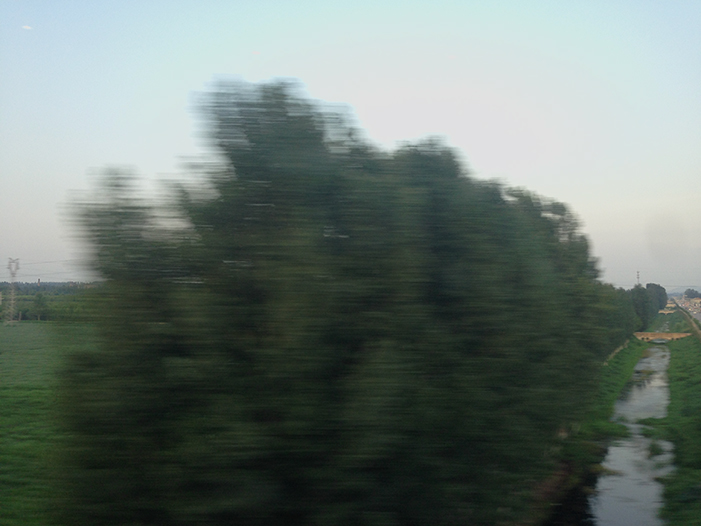 Ng Hon Lam Photography