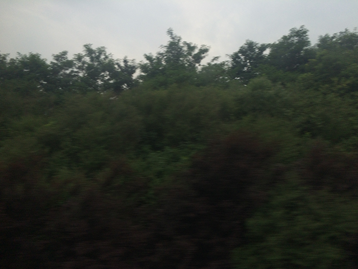 Ng Hon Lam Photography