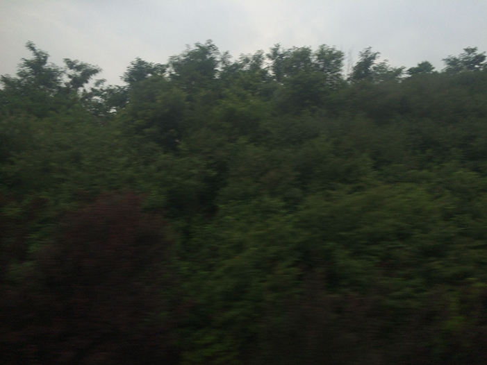 Ng Hon Lam Photography