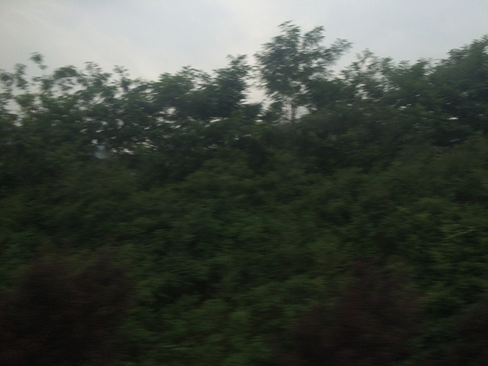 Ng Hon Lam Photography