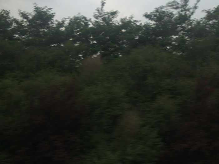 Ng Hon Lam Photography