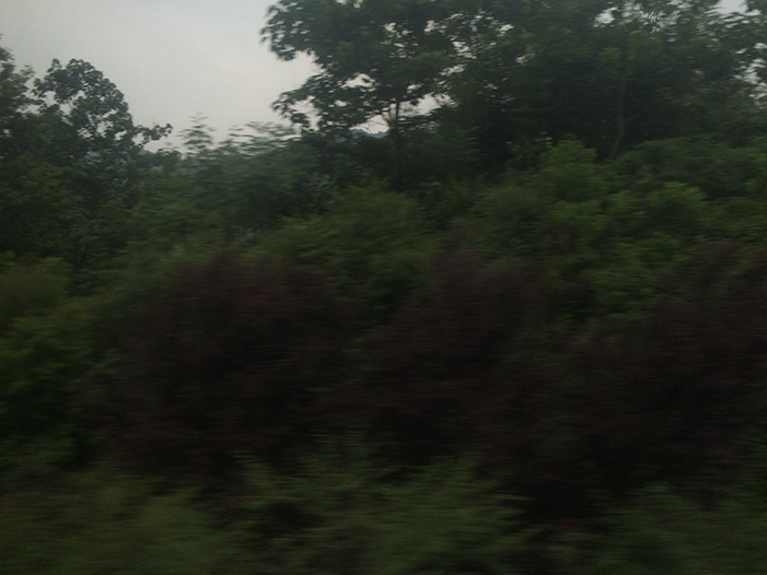 Ng Hon Lam Photography