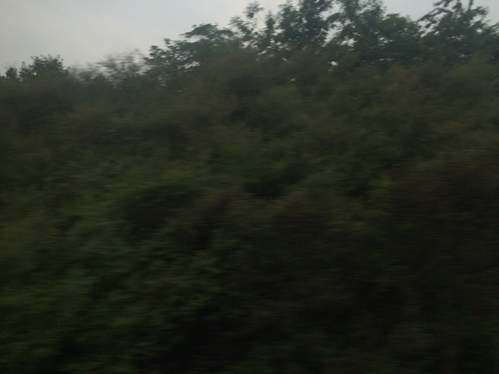 Ng Hon Lam Photography