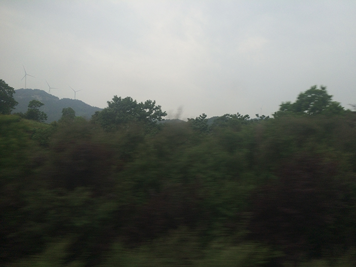 Ng Hon Lam Photography