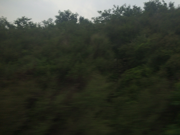 Ng Hon Lam Photography