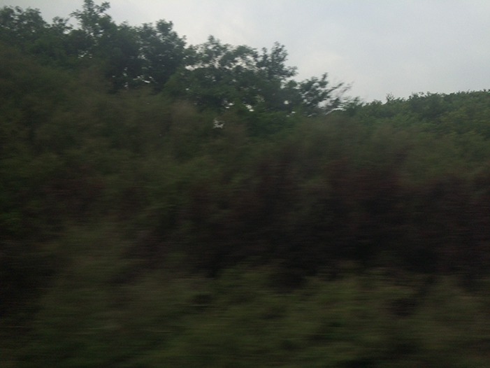 Ng Hon Lam Photography