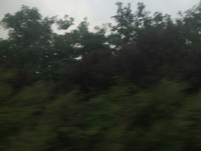 Ng Hon Lam Photography