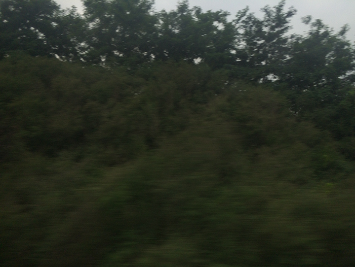 Ng Hon Lam Photography