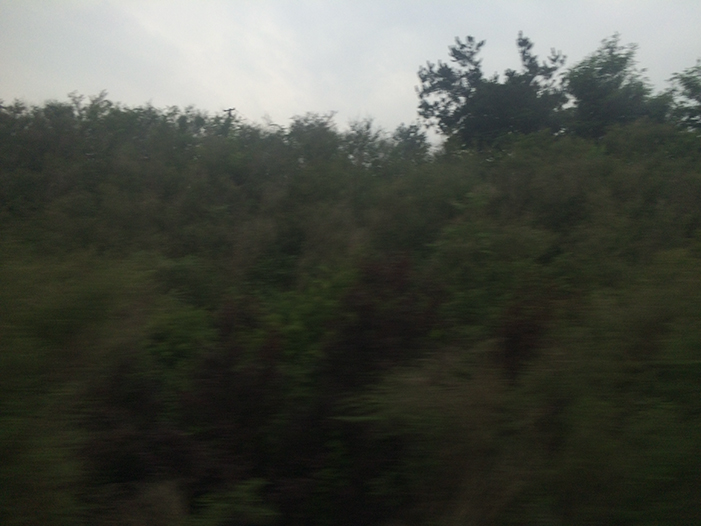 Ng Hon Lam Photography