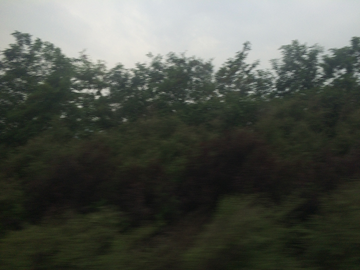 Ng Hon Lam Photography