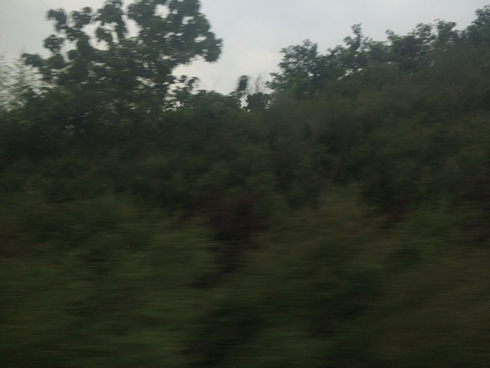 Ng Hon Lam Photography