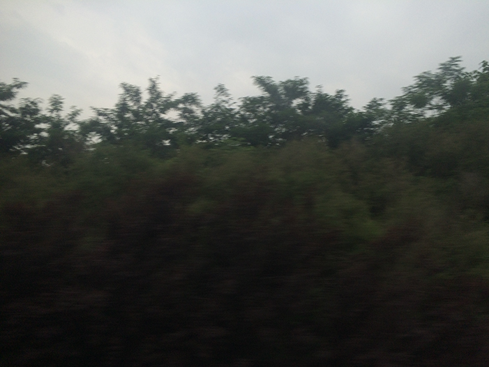 Ng Hon Lam Photography