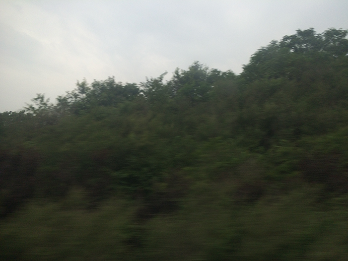 Ng Hon Lam Photography