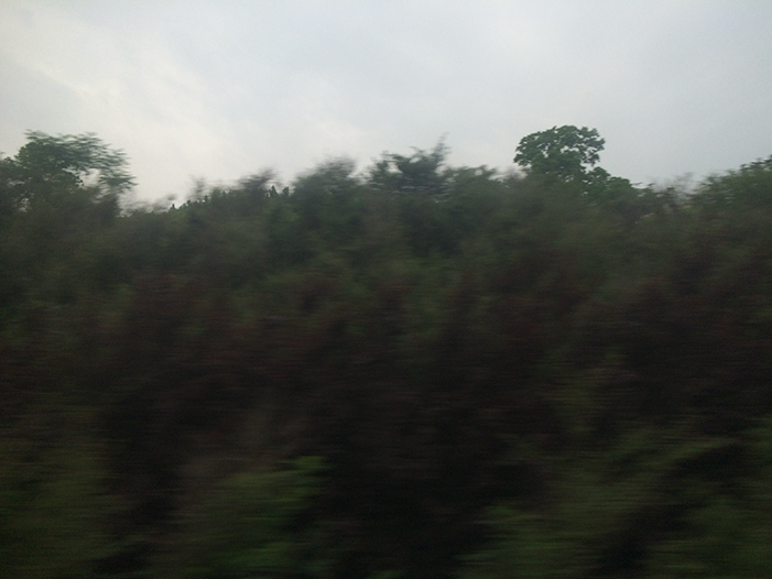 Ng Hon Lam Photography