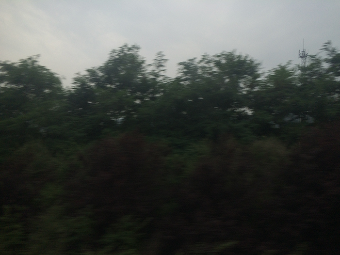 Ng Hon Lam Photography