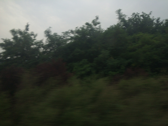 Ng Hon Lam Photography