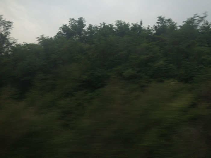 Ng Hon Lam Photography