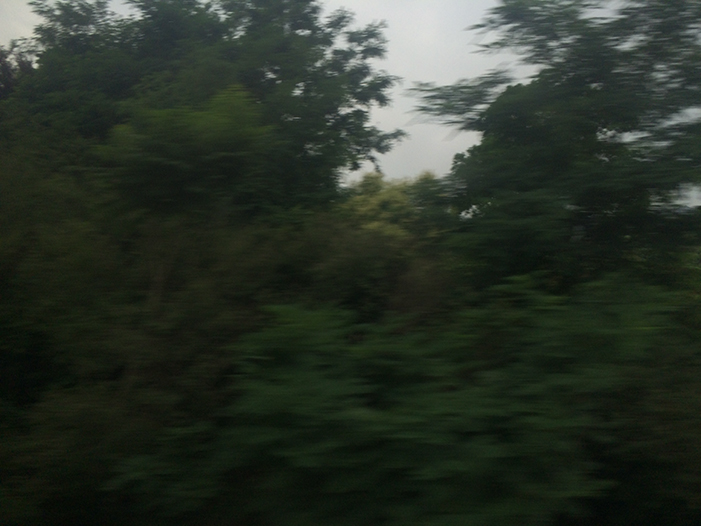 Ng Hon Lam Photography