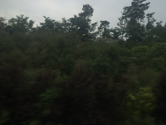 Ng Hon Lam Photography