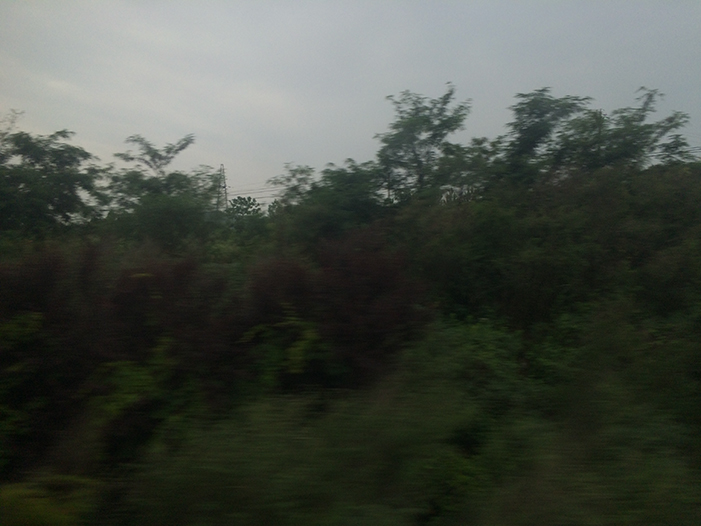 Ng Hon Lam Photography