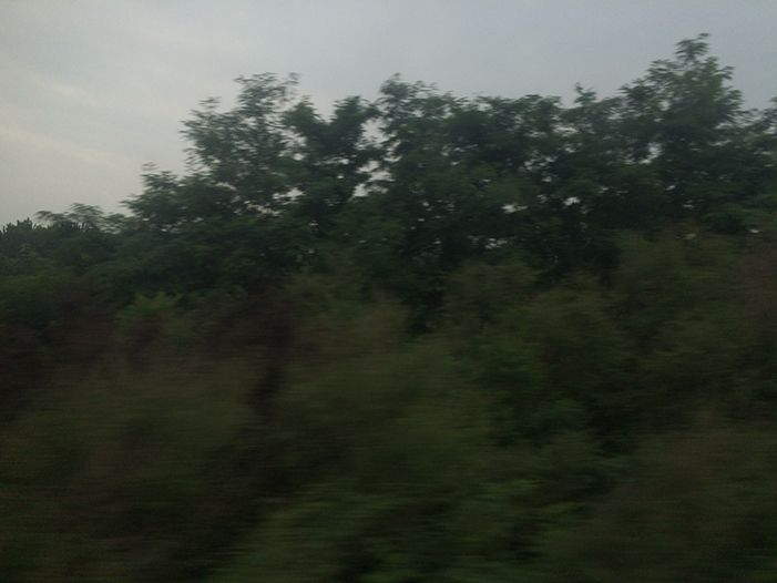 Ng Hon Lam Photography