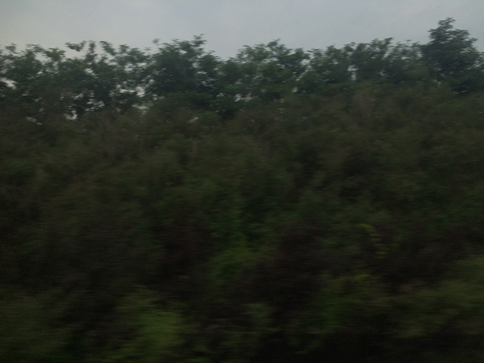 Ng Hon Lam Photography